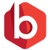 Big Media Logotype