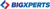 Bigxperts Logotype