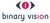 Binary Vision Logotype