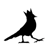 Blackbird Chateau Logotype