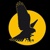 Black Falcon Productions Logotype