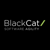 BlackCat Technology Solutions Ltd Logotype