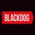 Blackdog Creative Logotype