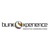 Blink Experience Logotype