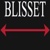Blisset Delivery Services Logotype