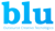 Blu Concept Logotype