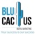 BluCactus Logotype