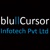 bluCursor Infotech Private Limited Logotype