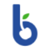 Blue Cherry Online Marketing Logotype