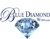 Blue Diamond Webs Logotype