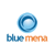 Blue Mena Group Logotype
