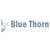 Blue Thorn Technology Logotype