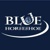 Blue Horseshoe Solutions Logotype