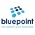 Blue Point Telecom Logotype