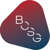 Blueprint Consulting Services Group Logotype