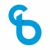 Bluestorm Logotype
