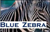 Blue Zebra Logotype