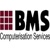 BMS Computerisation Services Logotype