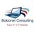 Bokionet Consulting Logotype