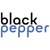 Black Pepper Software Ltd - Out of Business Logotype