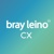 Bray Leino CX Logotype