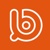 Bream Team Ltd Logotype