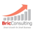 BricConsulting Logotype