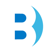 Brilliance Business Solutions Logotype