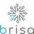 Brisa Robotica Logotype