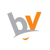 Broks Vision Logotype