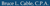 Bruce L. Cable, CPA Logotype
