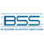 BSS Logotype