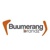 Buumerangbrandz Logotype