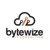 Bytewize Logotype