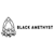 Black Amethyst, LLC Logotype