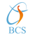 Baranwal Consultancy and Services Logotype