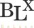 BeLuxe Inc. Logotype