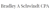 Bradley A Schwindt CPA Logotype