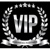 Business Partner VIP Services LLC. Logotype