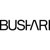 The Bushari Team Logotype