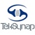 TekSynap Logotype