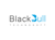 BlackbullTechnosoft Logotype