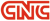 Classic Network and Computers Logotype