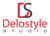Delostyle Studio Private Limited Logotype