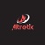Altnetix Logotype