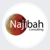 Najibah Consulting S. de R.L de C.V. Logotype