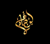 Binsadiq Consultants (Pvt) Ltd. Logotype