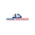 Personal Truck Services Logotype