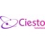 Ciesto solutions Logotype