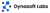 Dyna Soft Labs Logotype